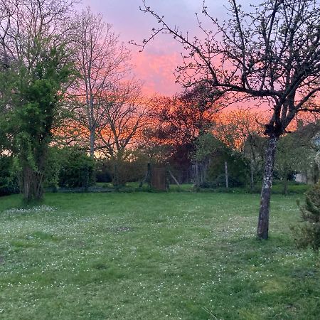 L Echappee Belle Villa Chevannes  Eksteriør bilde